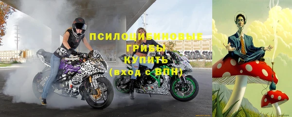 крисы Нягань